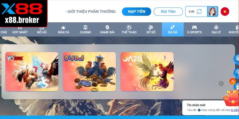 Nhiều lựa chọn trải nghiệm dành cho bạn